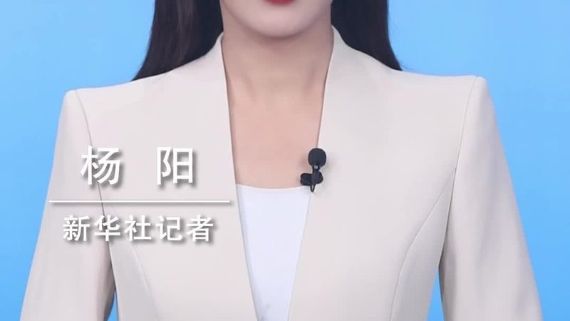 解码互联网技术：教学视频精选指南